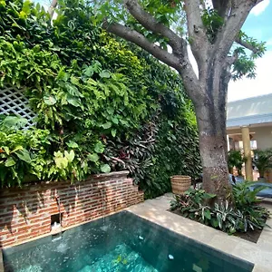 https://casa-jaguarboutique.cartagena-hotels.org