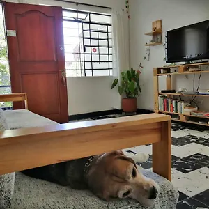 Hostal Selvática, Medellín